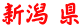 新潟 県
