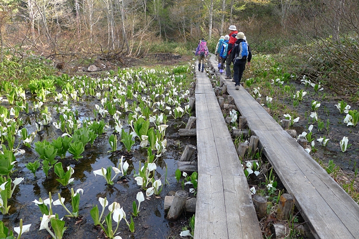 Oze-An area consisting of Ozegahara Marshland and Ozenuma Pond