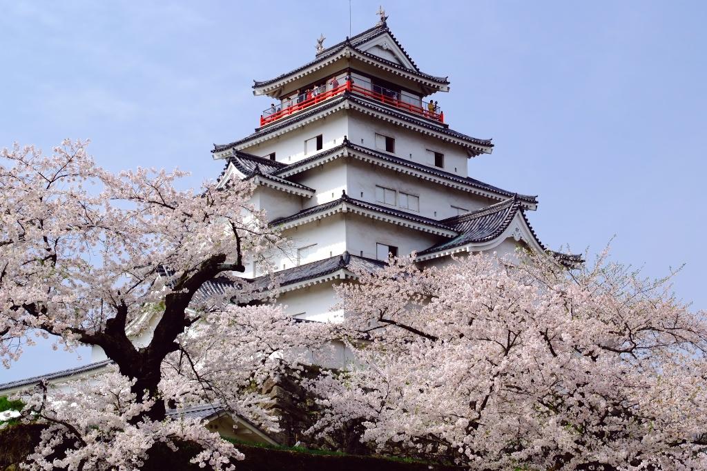 Tsurugajo Castle - a great castle in Samurai City