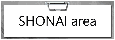 SHONAI area